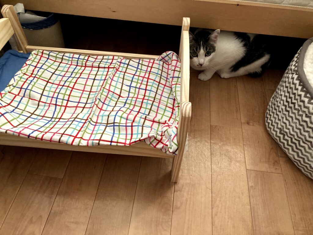口コミ Snsで話題 Ikeaの人形用ベットを愛猫のポンジに使わせてみた 生きてるだけで大吉