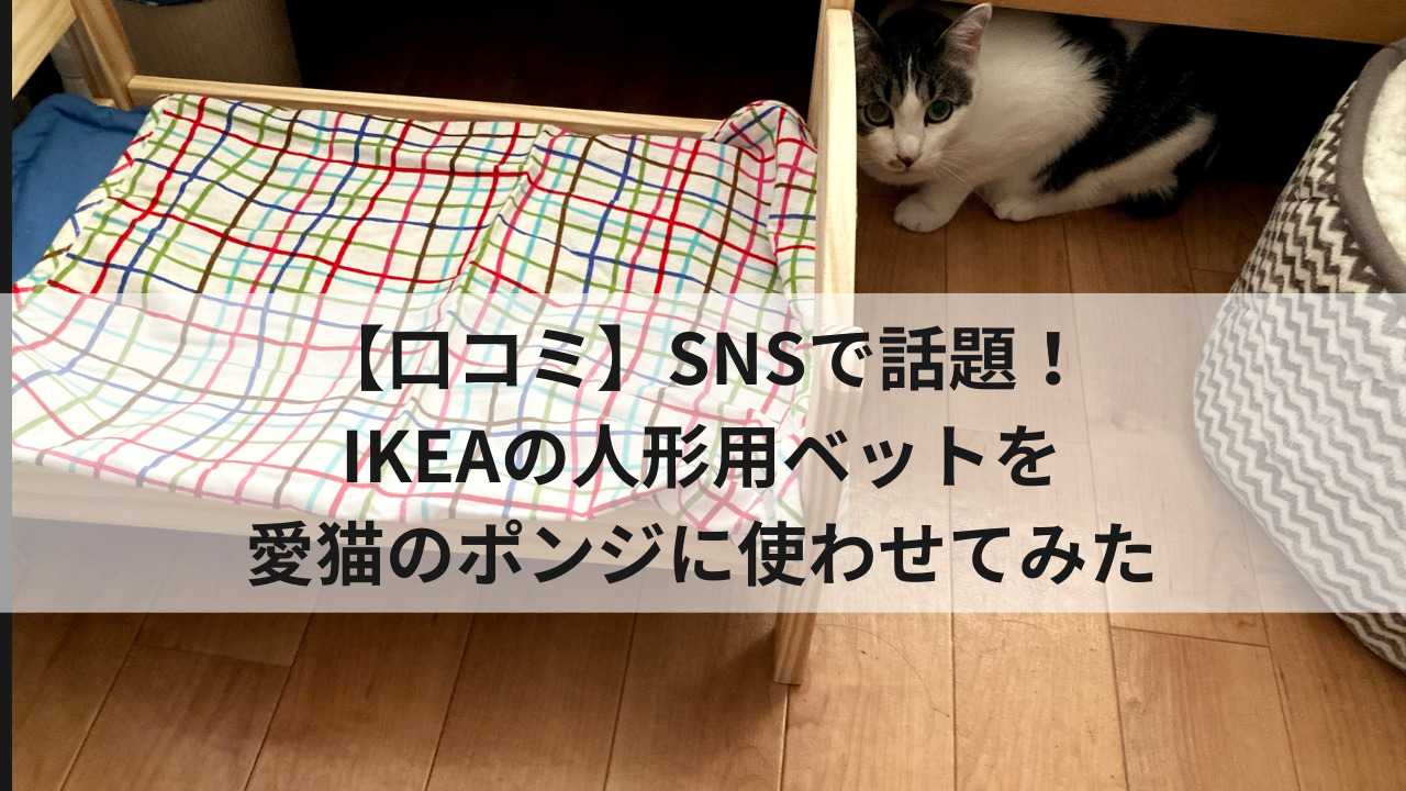 口コミ Snsで話題 Ikeaの人形用ベットを愛猫のポンジに使わせてみた 生きてるだけで大吉